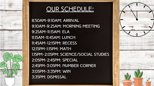 Daily Schedule 